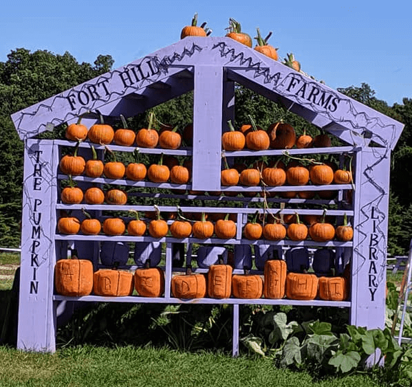 Pumpkin Library