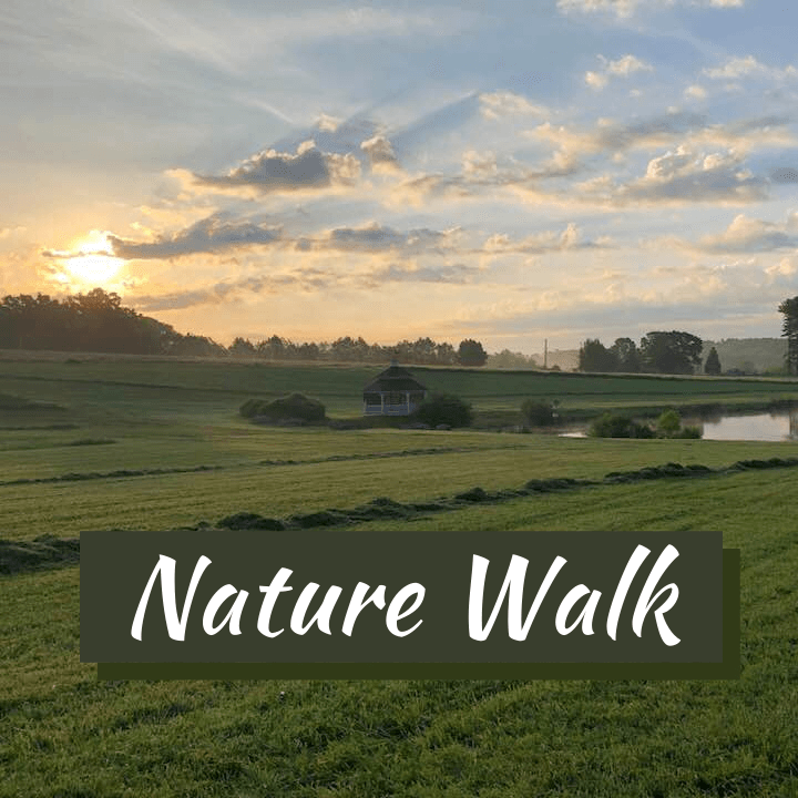Nature Walk at sunrise at Fort Hill Farms