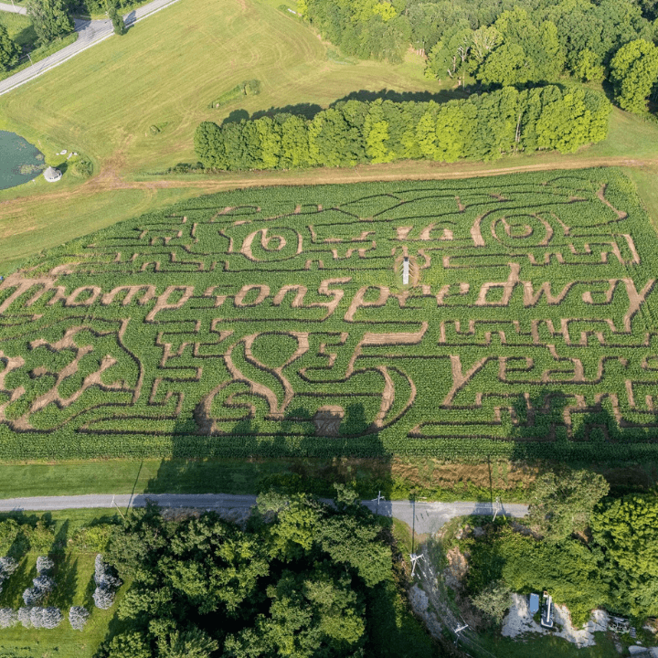 2024 Corn Maze designed with Thompson Speedway