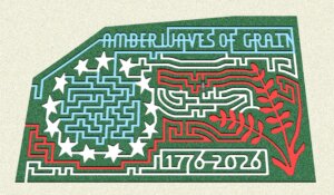 Fort Hill Farms corn maze with title of "Amber of Waves" on top of the original Betsy Ross' flag with 13 stars and the date of 1776-2026 at the bottom
